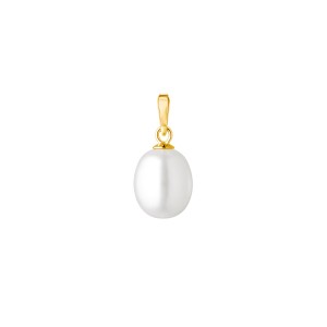 Pandantiv cu perla naturala alba si argint placat cu aur galben DiAmanti PY-PFD19_W-G (Argint 925‰ 0,13 g.)